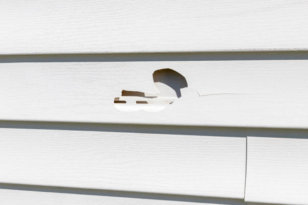 Best Property Management Cleanouts  in Duquesne, MO