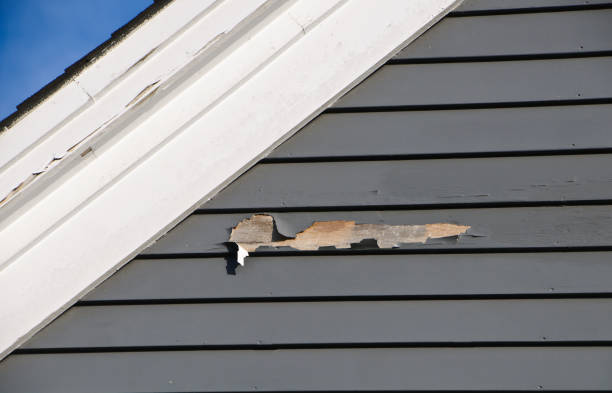 Best Shed Removal  in Duquesne, MO